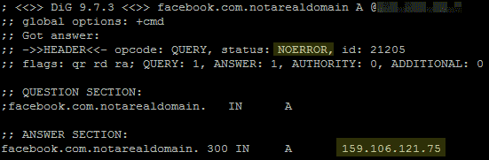 DNS record lookup for domain containing facebook.com on a Chinese server