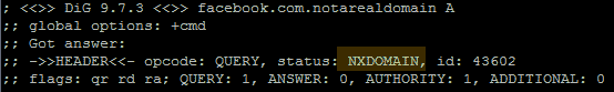 Failed DNS record lookup for domain containing facebook.com on a US server